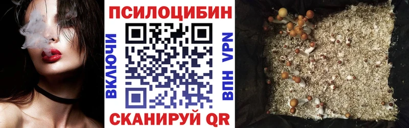 Галлюциногенные грибы Psilocybe  Похвистнево 